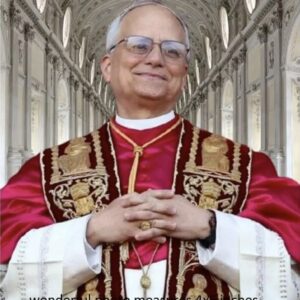 Pope Leo XIV PHOTO Portrait Photo Print New Flag
