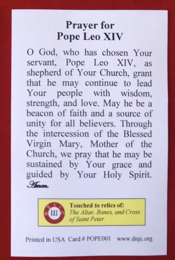 Pope Leo XIV Prayer Holy Cards 8 pcs 4.25” x 5.5”